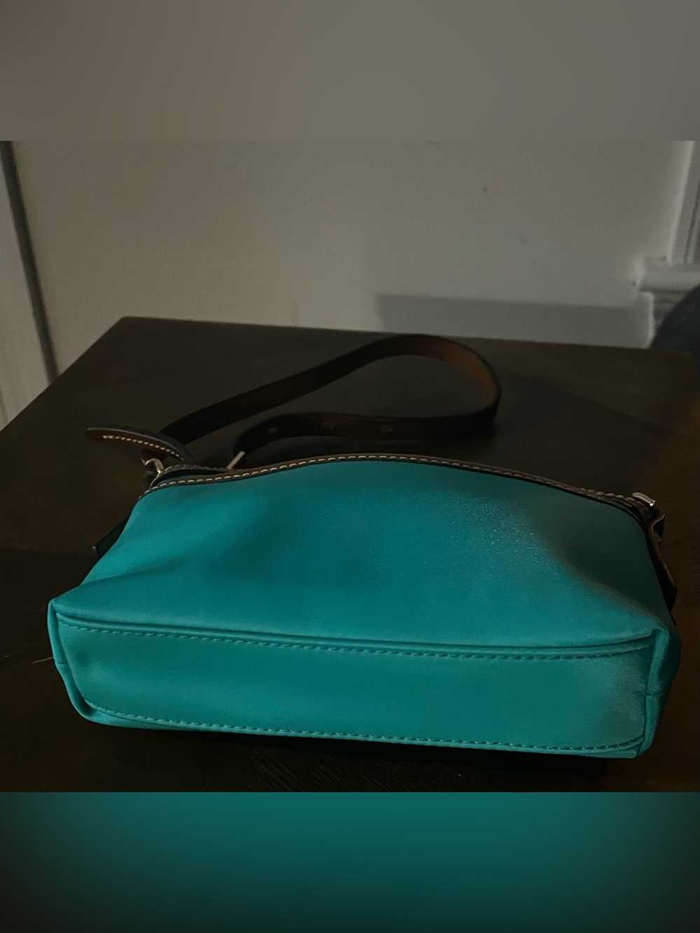 Dooney & Bourke Teal Nylon Domed Wayfarer Crossbody Bag with Brown Leather Trim - Picture 3 of 10